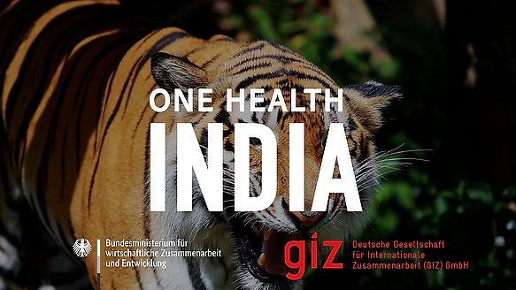 GIZ - One Health (Region INDIEN)